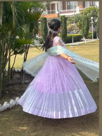 Siddhi Organza Anarkali (Dress) in Pink