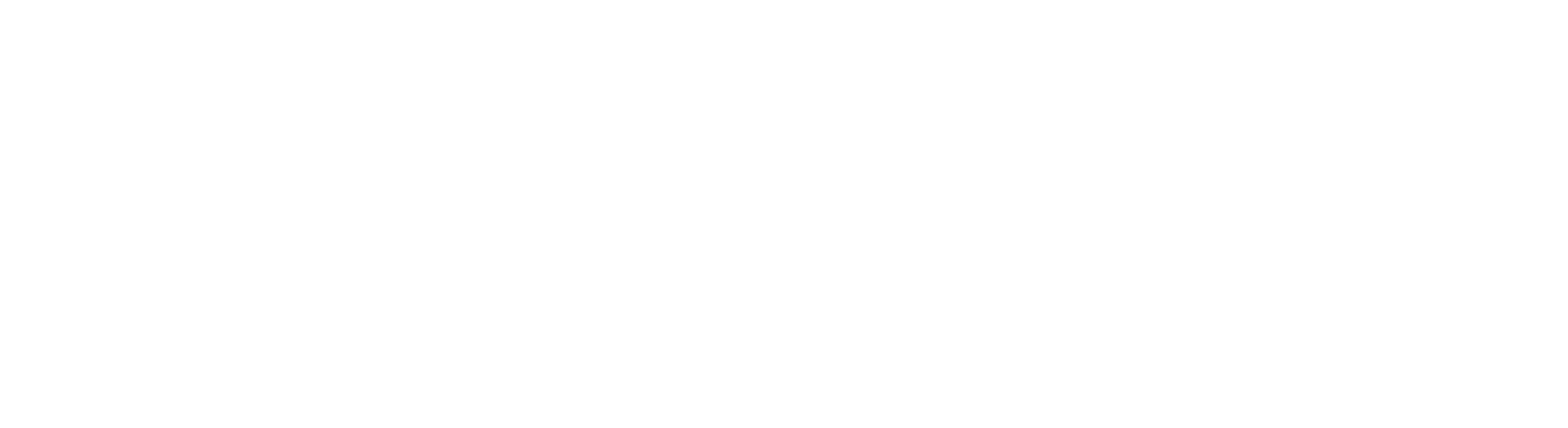 BullionKnot Watermark