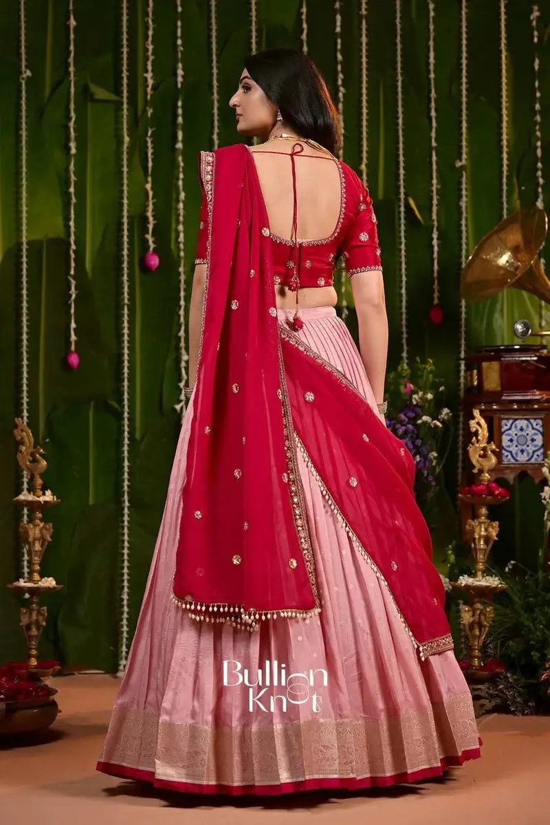 Can Can Skirt and Laxmi Wine Russian Silk Lehenga